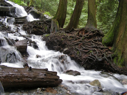 Water power, natural sculpture at the foot of Bridal Falls.
